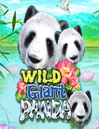 เกม สล็อต roma เล่น ฟรี 100: สูตรลับเอาชนะง่ายๆ